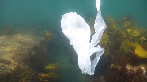 Single use plastic bag in the ocean Stock Footage 120099614