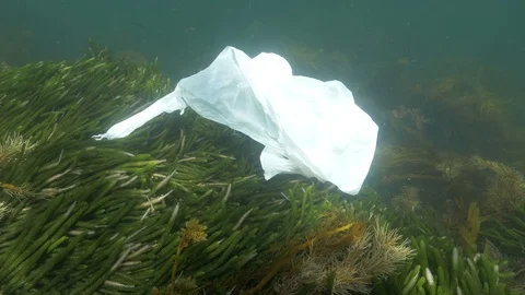 Single use plastic bag in the ocean Video stock 120099619