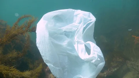 Single use plastic bag in the ocean Video stock 120099634