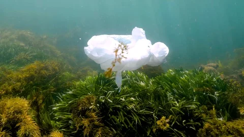 Single use plastic bag in the ocean Video stock 120099653