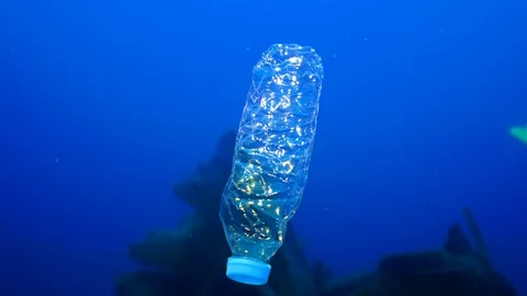 Single-Use Plastic Bottle Garbage Underwater Stock Footage 123452457