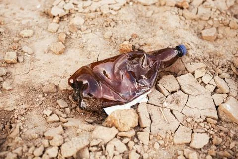 Single use plastic bottle in sand, marine trash on the beach. Plastic polluti Stock Photos