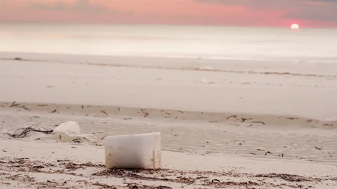 Single-use plastic container on a white sandy beach, sea in background Stock Footage 336489637
