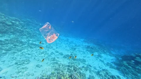 Single use plastic cup sinking in blue sea over tropical fishes as symbol of Stock Footage 340598740