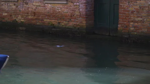 Single use plastic floating in channel, Venice, Italy, 4k Stock Footage 141604097