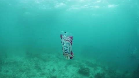 Single Use Plastic Found Underwater  Stock Footage 169147255