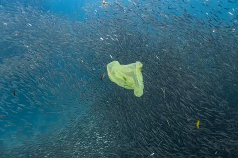 Single-use plastic in the ocean Stock Photos