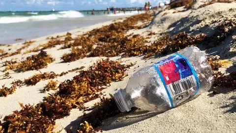 Single Use Plastic Water Bottle on the Beach Stock Footage 93953943