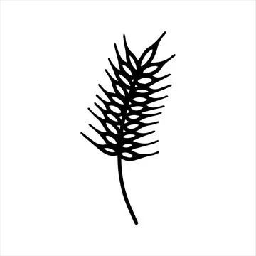Single vector element, hand drawn wheat for autumn decoration. Doodle vector Stock Illustration