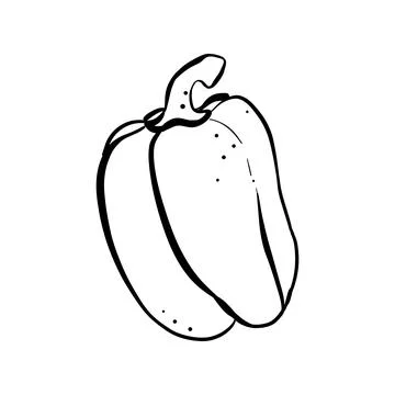 Single vector illustration of a sweet pepper with a stalk close-up Stock Illustration