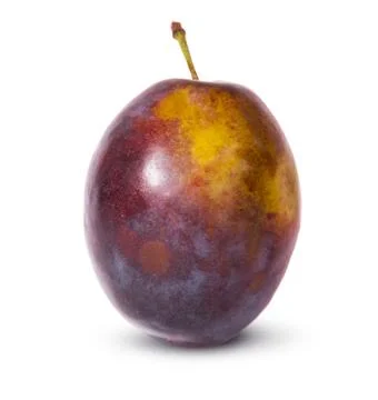 Single violet plum Stock Photos