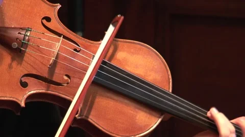 Single violin Stock Footage 48499643