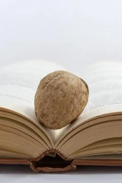 A Single Walnut and a Book Stock Photos