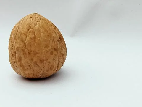 Single walnut with copy space on white Stock Photos