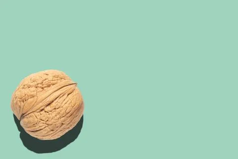 Single walnut is isolated on light green background Stock Photos