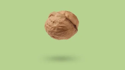 Single walnut isolated on light green background close-up Stock Photos