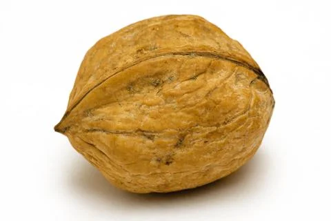 Single Walnut Isolated on a White Background Foto stock