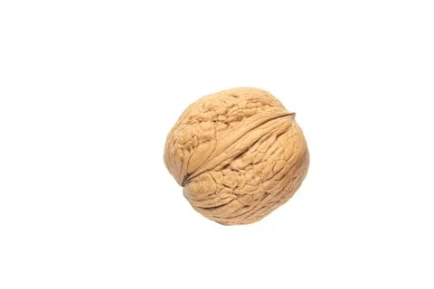 Single walnut is isolated on white background Stock Photos