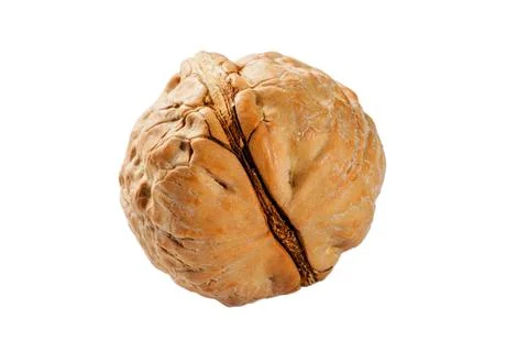 Single walnut on an isolated white background. Perfect for your healthy eating Stockfoto's
