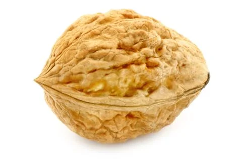 Single walnut Stock Photos