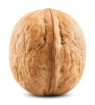 Single walnut Stock Photos