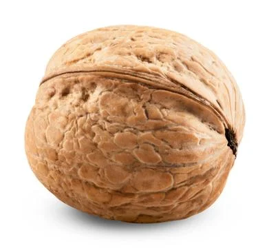 Single walnut Stock Photos
