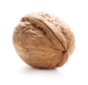 Single walnut Foto stock