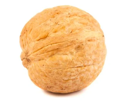 Single walnut Stock Photos