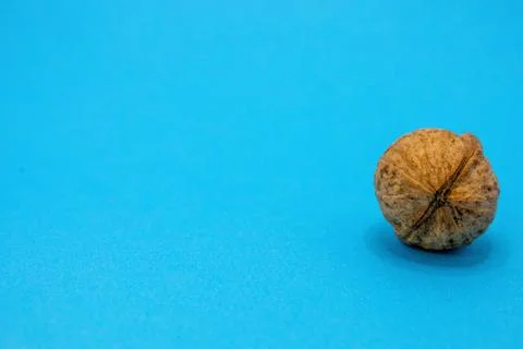 A single walnut rests on a bright blue surface. Foto stock