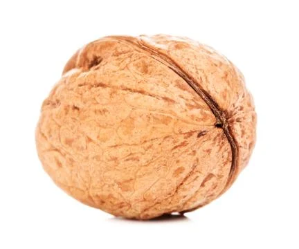 Single Walnut In A Shell Stock Photos