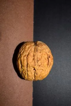 Single Walnut on Split Color Background Minimal Still Life Stock Photos