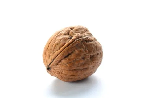 Single walnut on a white background Stock Photos