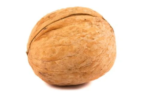 Single walnut on a white background Stock Photos