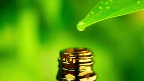 Single water drop falling from leaf into glass bottle Stock Footage 332284513