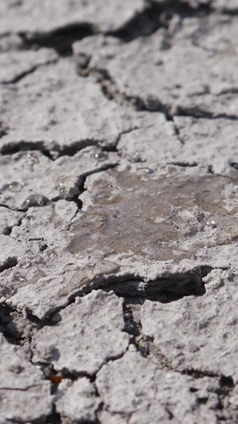 Single water drop falls onto lifeless desert landscape with cracked ground Stock Footage 279632663