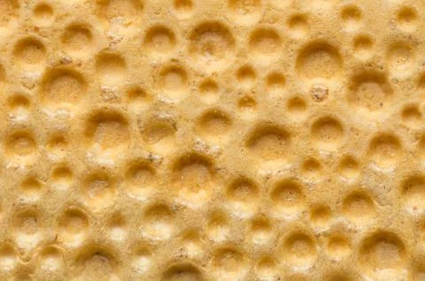 Single wheat crispbread macro shot Stock Photos