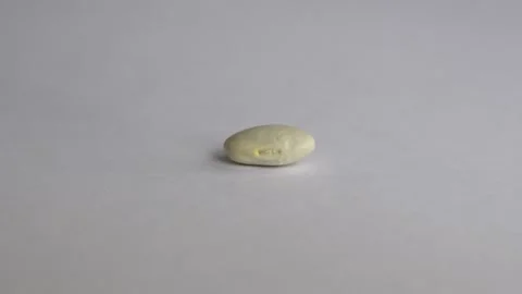 Single white bean falling on white background 4k 10bit 120fps Stockbeeldmateriaal 332988323
