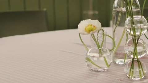 Single white bloom in small glass vase on textured tablecloth, event stylist Stock Footage 324704674