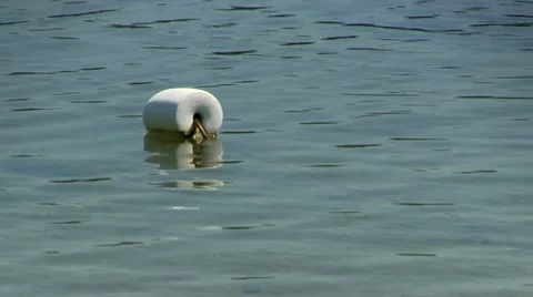 Single white buoy Stock Footage 12202666