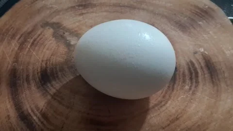 Single white chicken egg resting on textured wooden cutting board video Stock Footage 339302054