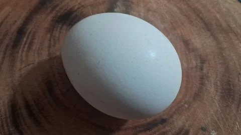 Single white chicken egg resting on a rustic wooden surface Stock Photos
