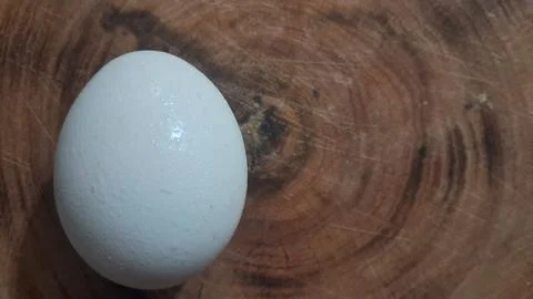 Single white chicken egg resting on a rustic wooden surface 스톡 사진