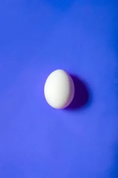  Single white egg isolated on solid color background Single white egg, cen... Stock Photos