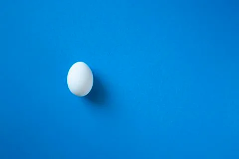 Single white egg Stock Photos
