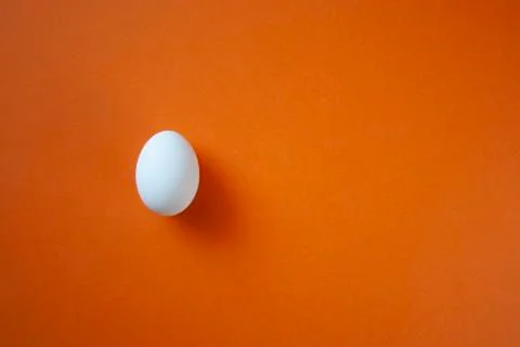 Single white egg Stock Photos