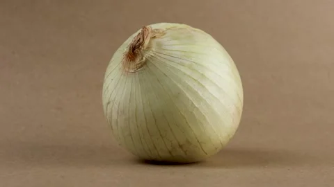 Single white onion resting on a brown matte surface, surrounded by diffused Stock Footage 308922568