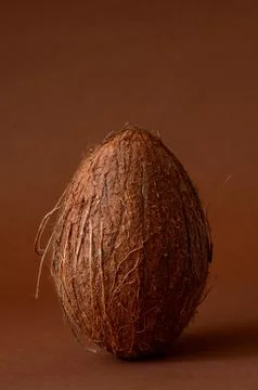 Single whole coconut Stock Photos