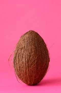 Single whole coconut Stock Photos