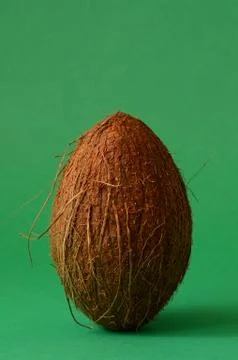 Single whole coconut Stock Photos