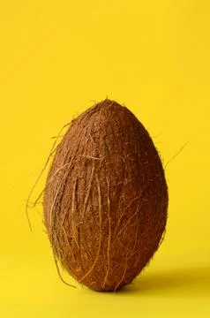 Single whole coconut Stock Photos